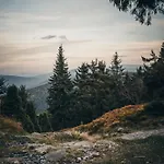 Forest Park & Hotel