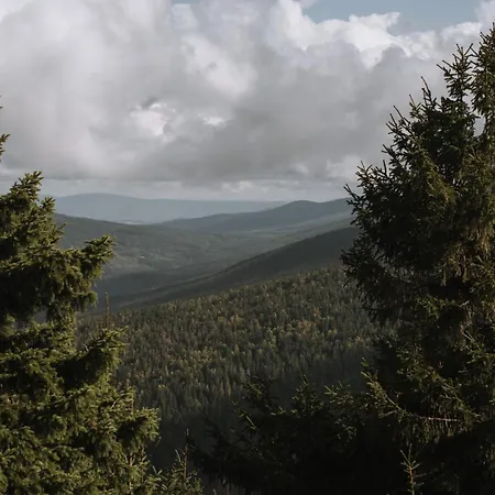 Forest Park Resort&spa 4*