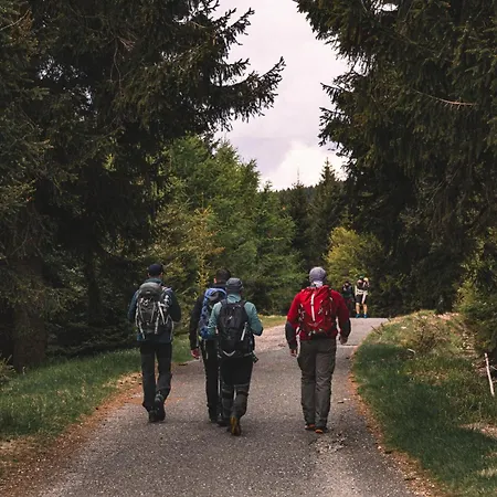 Forest Park & Świeradów-Zdrój
