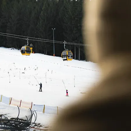 Hotel Forest Park Resort&spa