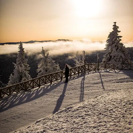 Hotel Forest Park Resort&spa Świeradów-Zdrój