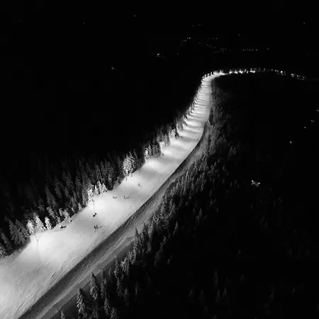 Hotel Forest Park Resort&spa