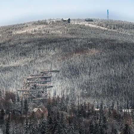 Hotel Forest Park Resort&spa