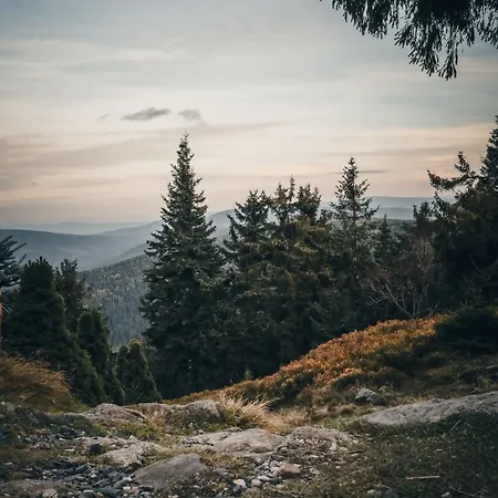 Forest Park & Szálloda