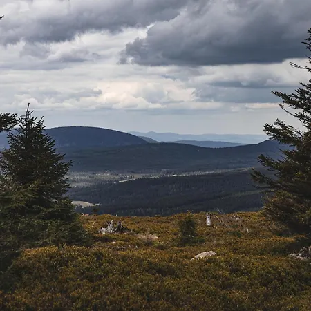 Forest Park & Hotel 4*