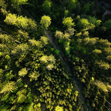 Szálloda Forest Park & 4*