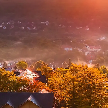 Szálloda Forest Park & 4*