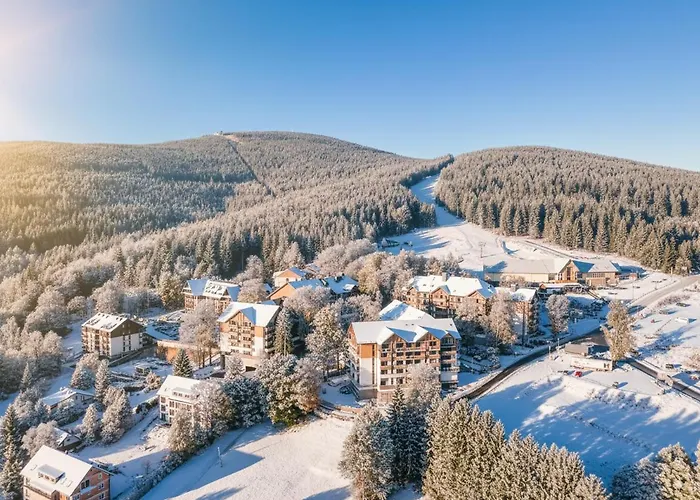 Forest Park & Swieradow-Zdroj