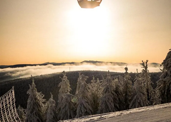 Forest Park & Hotel 4*