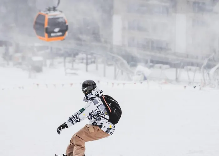 Forest Park & Hotel 4*