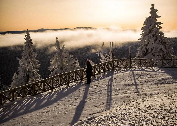Hotel Forest Park & Swieradow-Zdroj