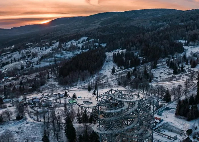 Hotel Forest Park & 4*