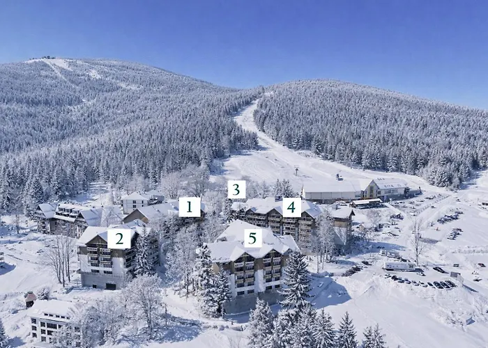 Forest Park & Świeradów-Zdrój