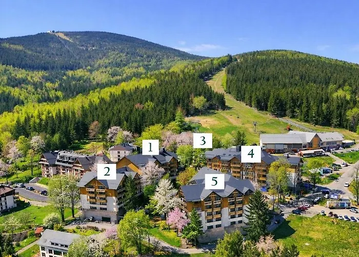 Forest Park & Hotel 4*